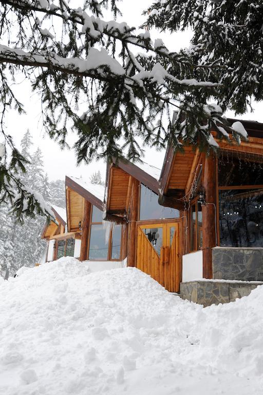 Hotel Gura Diham Buşteni Exterior foto