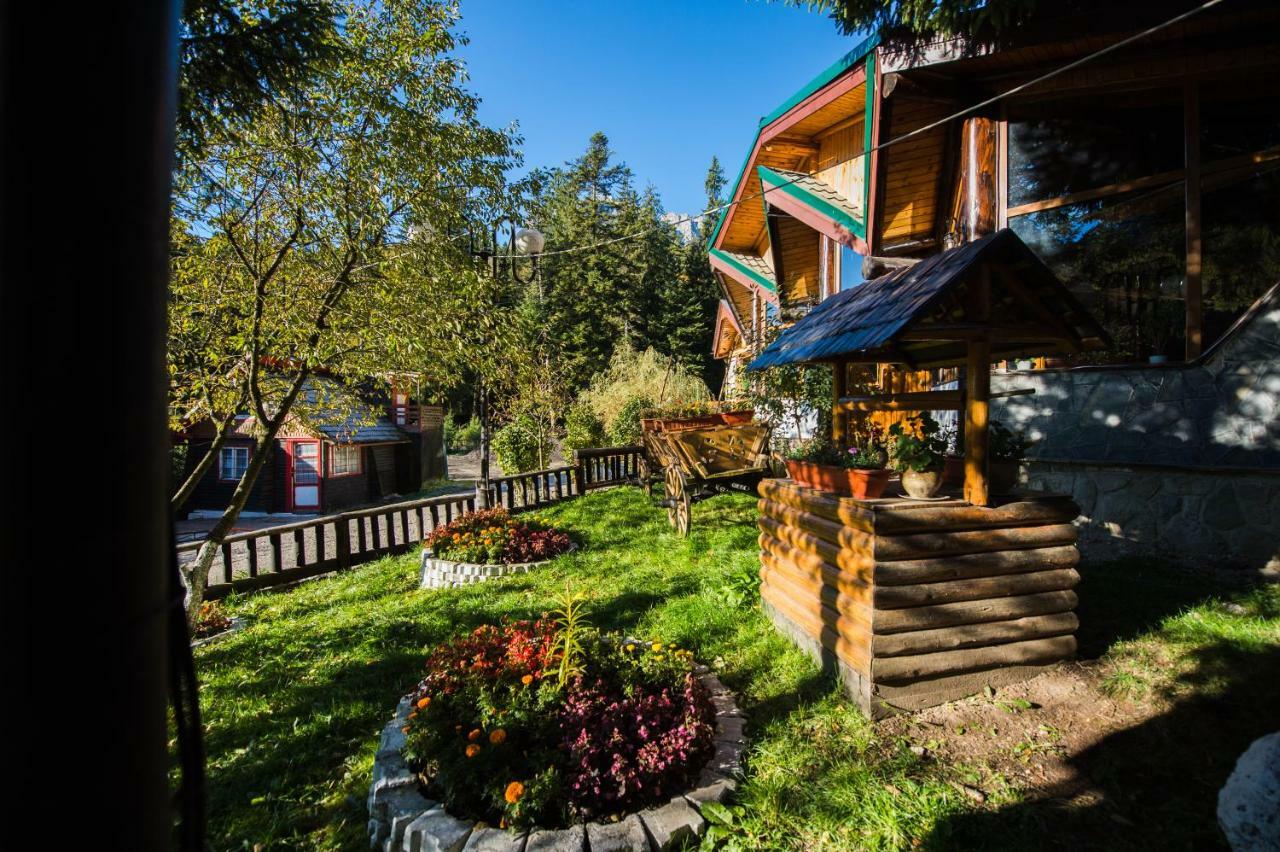 Hotel Gura Diham Buşteni Exterior foto